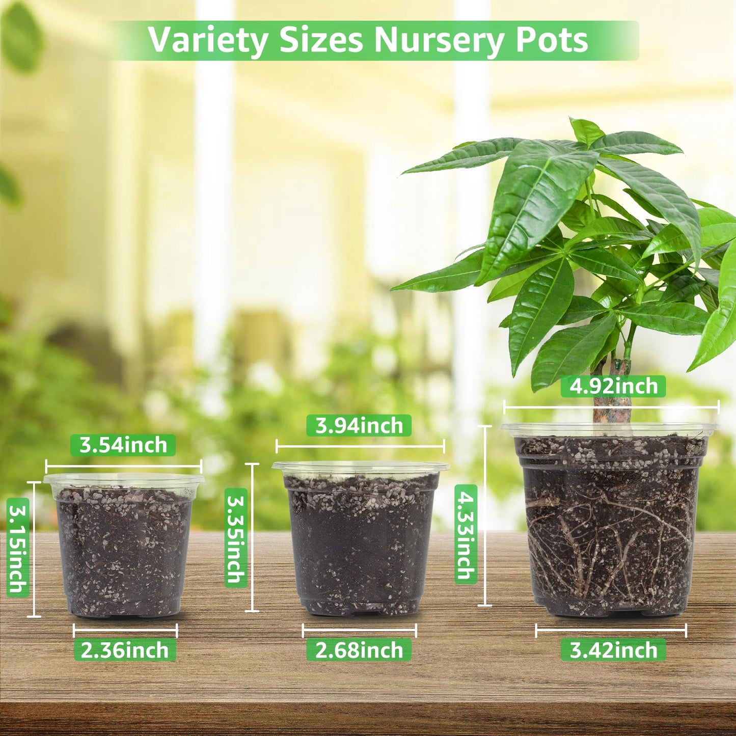 30 Packs 3.5/4/5 Inch Clear Nursery Pots, Transparent Plastic Planter