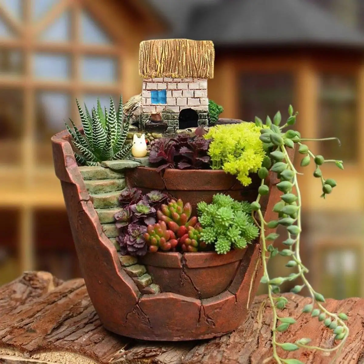 Home & Garden