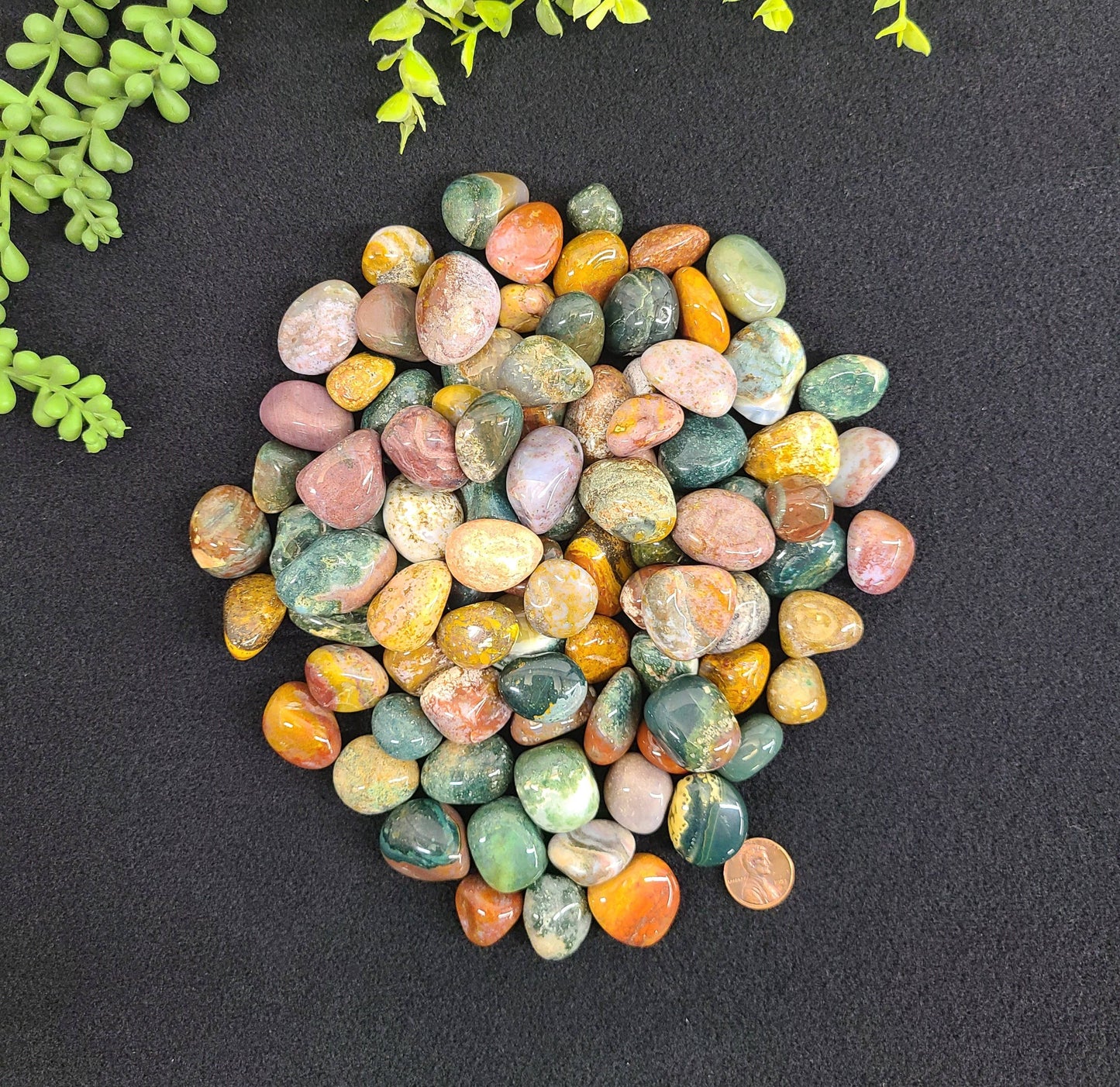 Ocean Jasper Tumbled Stone (0.5kg/1.1lbs) 20-25mm