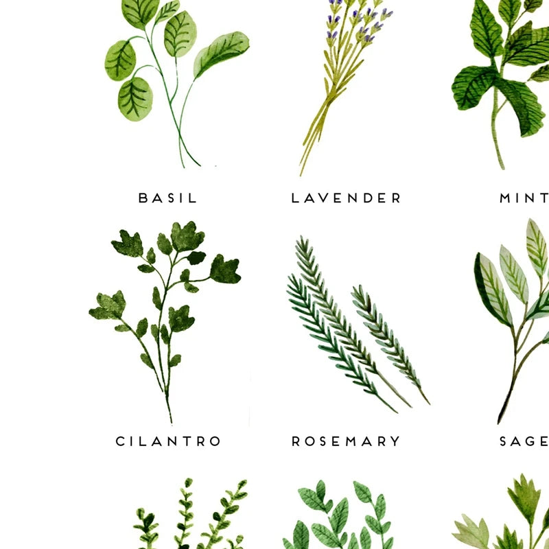 Culinary Herbs Prints Vegetable Botanical Poster Kitchen Decor , Spices Herbs Guide Wall Art Pictures Canvas Painting Decoration