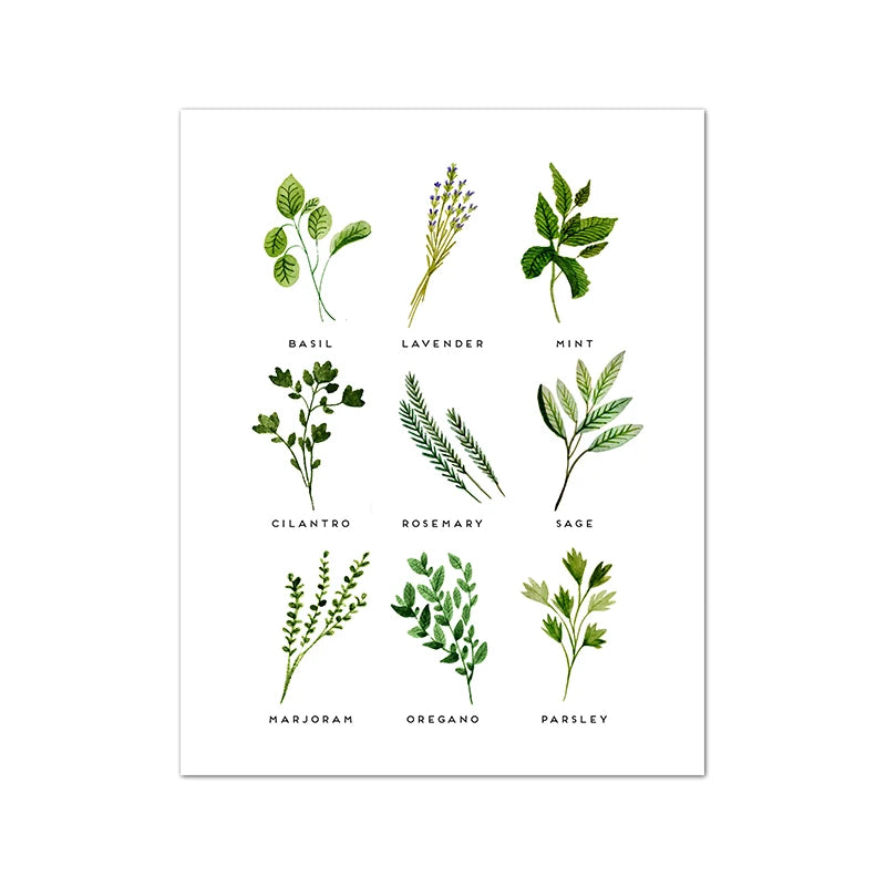 Culinary Herbs Prints Vegetable Botanical Poster Kitchen Decor , Spices Herbs Guide Wall Art Pictures Canvas Painting Decoration