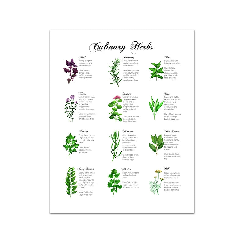 Culinary Herbs Prints Vegetable Botanical Poster Kitchen Decor , Spices Herbs Guide Wall Art Pictures Canvas Painting Decoration