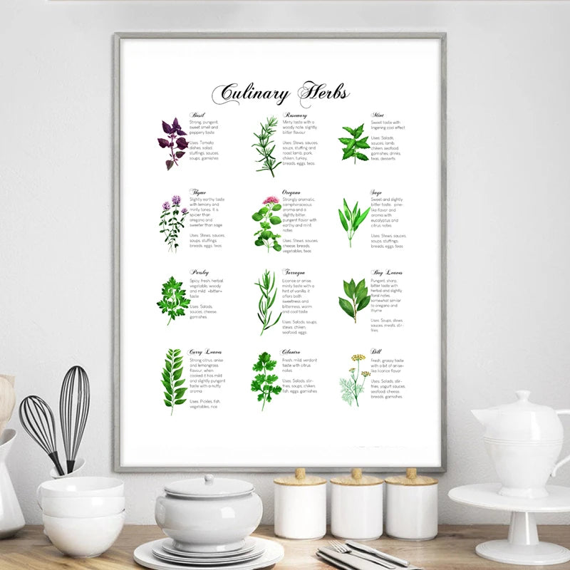 Culinary Herbs Prints Vegetable Botanical Poster Kitchen Decor , Spices Herbs Guide Wall Art Pictures Canvas Painting Decoration
