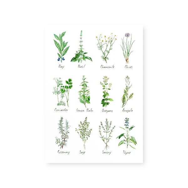 Culinary Herbs Prints Vegetable Botanical Poster Kitchen Decor , Spices Herbs Guide Wall Art Pictures Canvas Painting Decoration