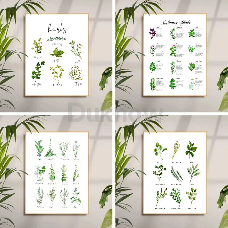 Culinary Herbs Prints Vegetable Botanical Poster Kitchen Decor , Spices Herbs Guide Wall Art Pictures Canvas Painting Decoration