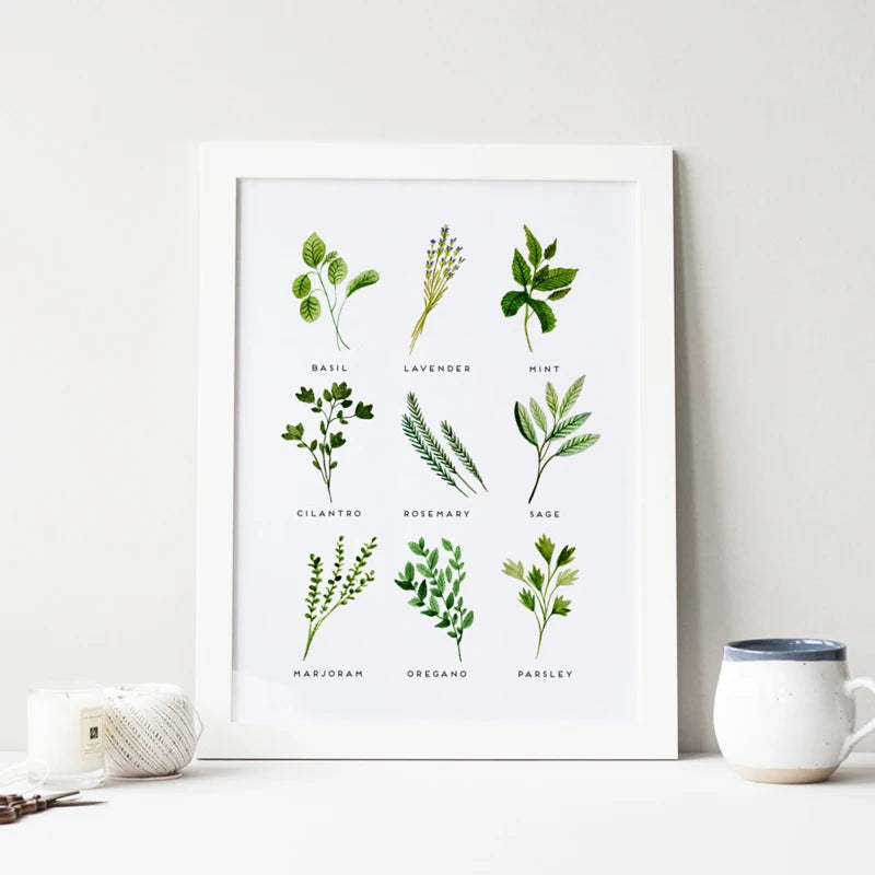 Culinary Herbs Prints Vegetable Botanical Poster Kitchen Decor , Spices Herbs Guide Wall Art Pictures Canvas Painting Decoration