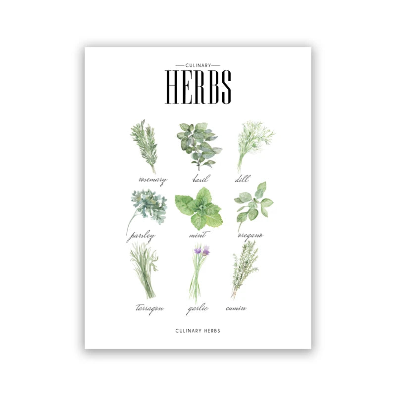 Culinary Herbs Prints Vegetable Botanical Poster Kitchen Decor , Spices Herbs Guide Wall Art Pictures Canvas Painting Decoration