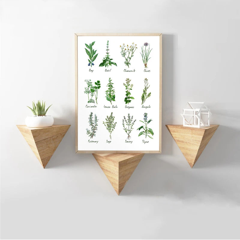 Culinary Herbs Prints Vegetable Botanical Poster Kitchen Decor , Spices Herbs Guide Wall Art Pictures Canvas Painting Decoration