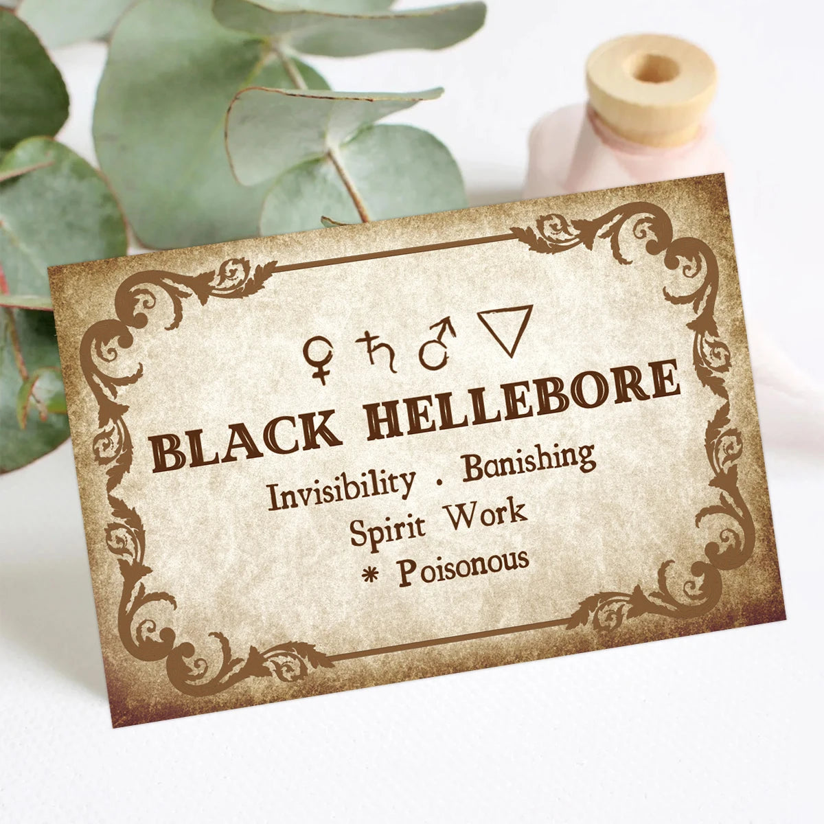 40pcs Herb Cards With Details Herb Names & Properties For Herbalism Or Collectibles Enthusiasts Seeking To Unlock Herbal Subject