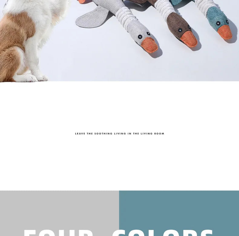 Dogs bite geese with their mouths, making sounds, playing fish, biting pets, cleaning teeth, interactive training for pets Whole