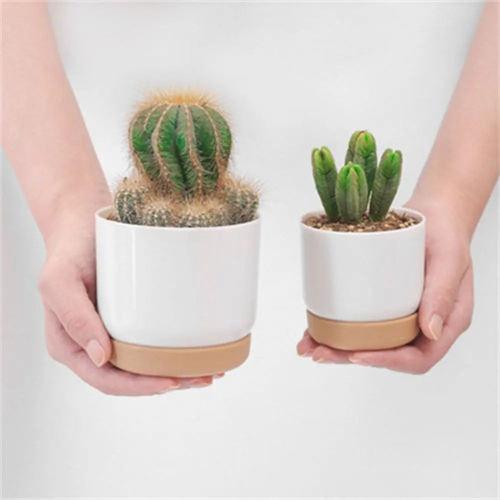 Self Watering Flowerpot Automatic Water Absorption Storage Round