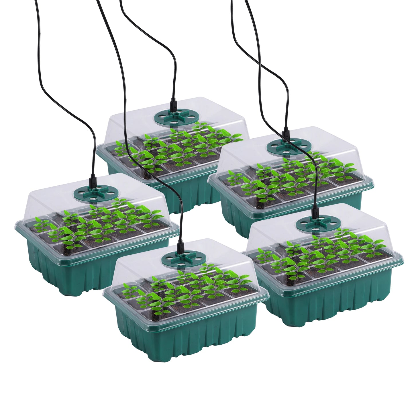 Seed Starter Tray Box With LED Grow Light Nursery Pot Seedling