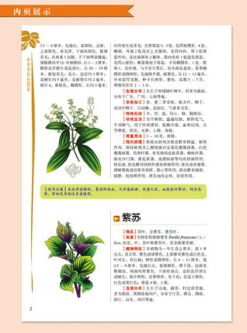 Herb Guide That’s Like a Picture Dictionary: 2000 Herbs Even Seniors Recognize—Toxic Warnings, Harvest Timelines