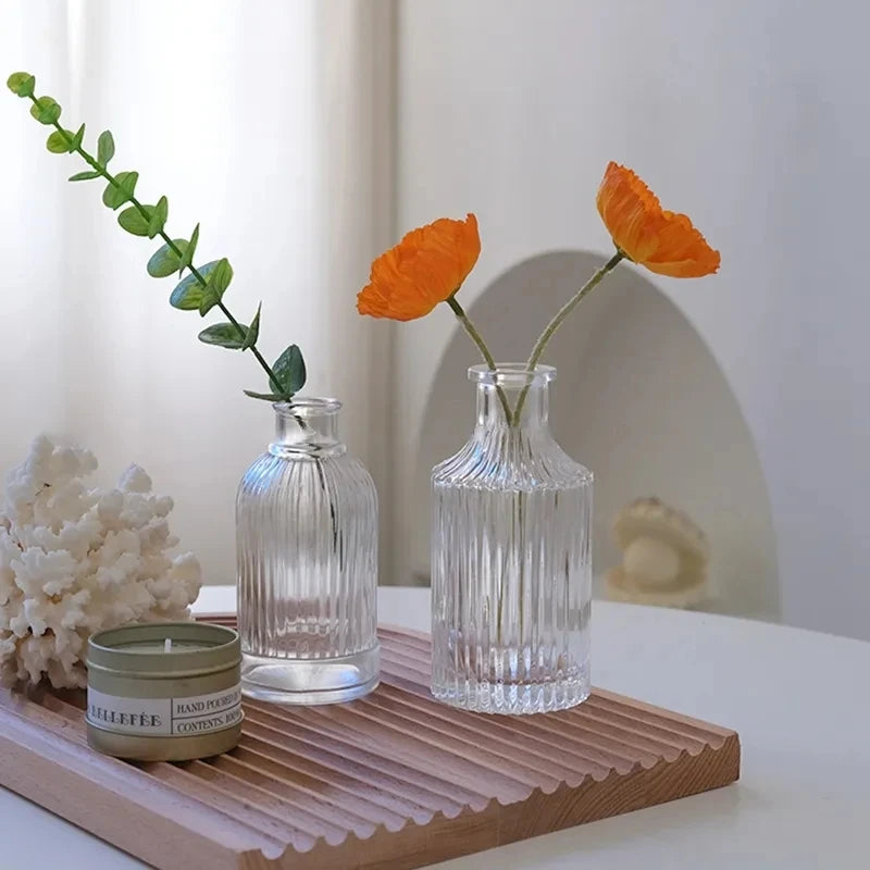 1pc Nordic Creative Transparent Vases for Plant Bottle Flower Pot