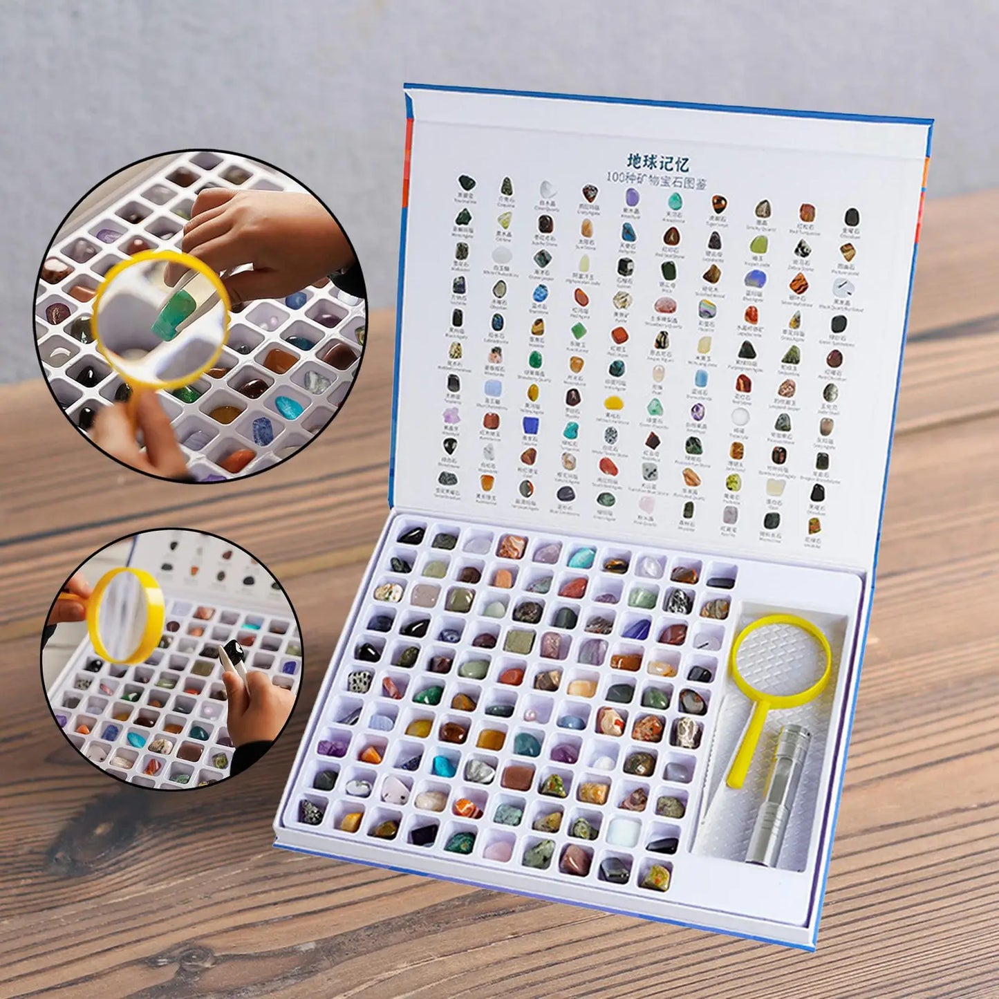 Natural Geology Minerals Rocks and Crystals GEM Collection Kit for Educational Science Book Magnifying Glass for Holiday Gifts