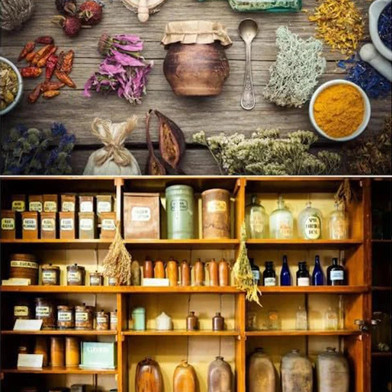1000+ Herbal Remedies Holistic Health Guide The Holistic Home Apothecary Book: Natural Healing Guide,Forgotten Home Apothecary