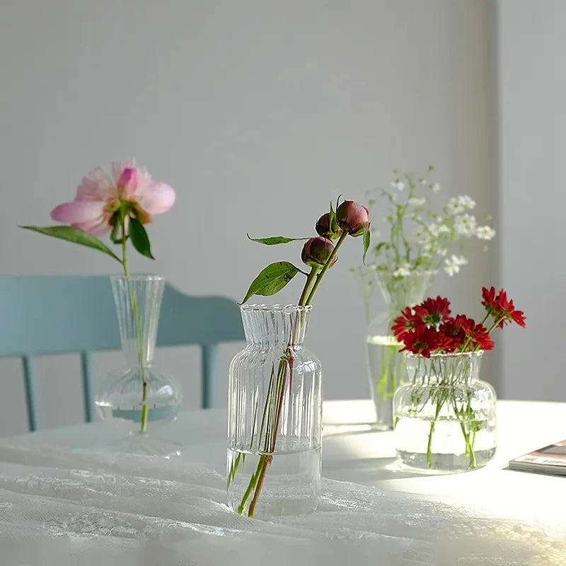 1pc Nordic Creative Transparent Vases for Plant Bottle Flower Pot