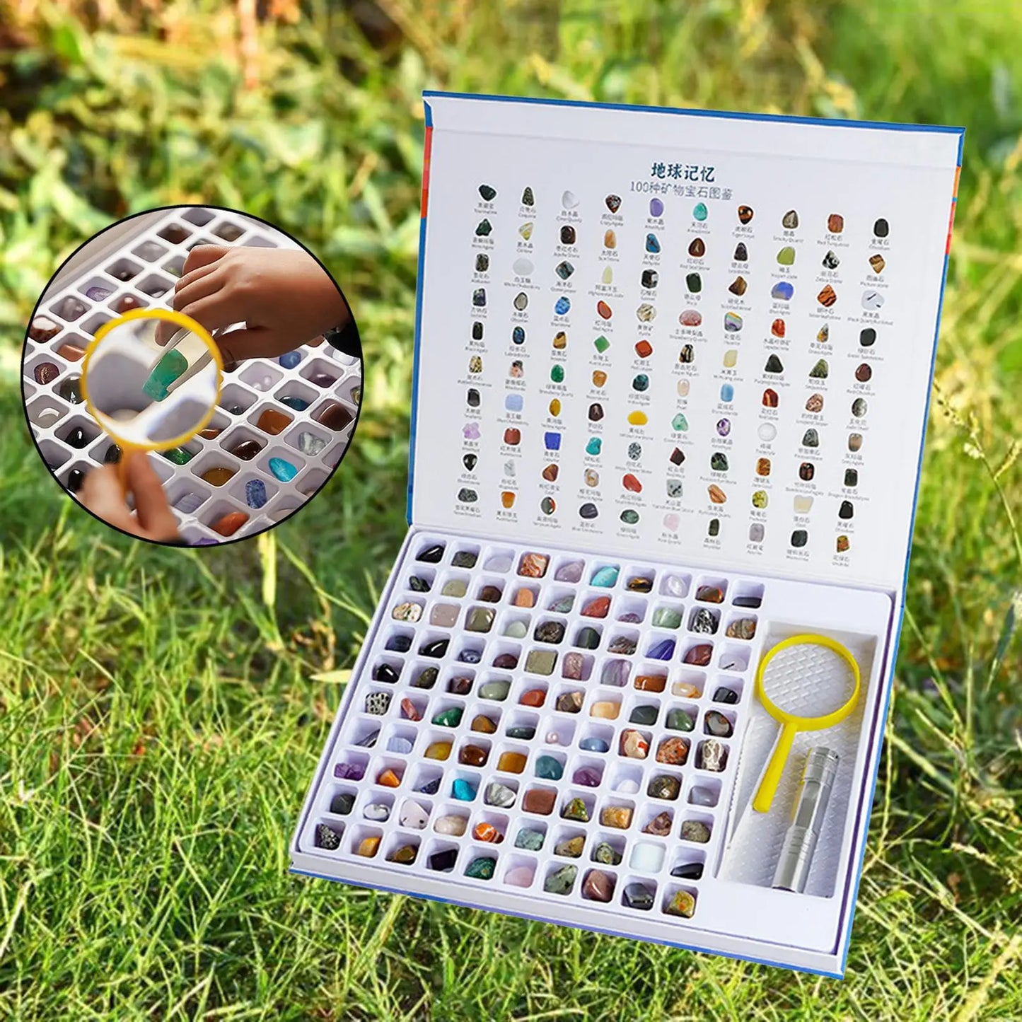 Natural Geology Minerals Rocks and Crystals GEM Collection Kit for Educational Science Book Magnifying Glass for Holiday Gifts