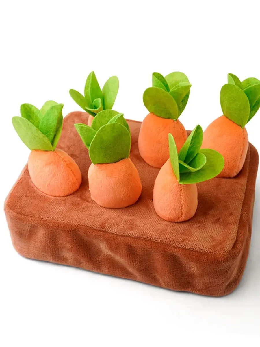 Baby Montessori Toys For Toddler ToysEducational Colorful Shape Toy Pull CarrotSet Counting Discouvery Toys For KidsLearning