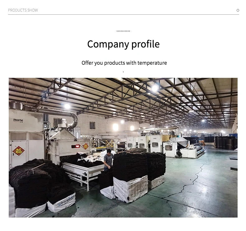 European Living Room Carpet Rugs for Bedroom  Outdoor Rug  Living Room Decor Tatami Rug Entrance Door Mat Area Rug Large luxury