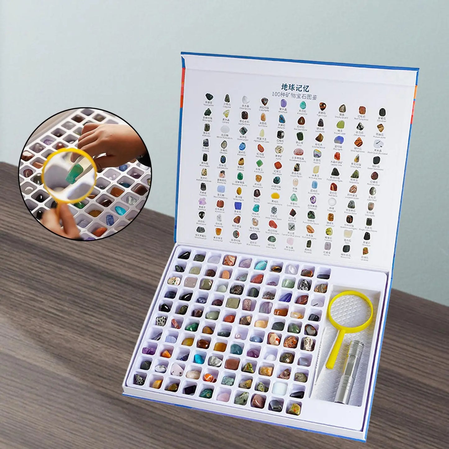 Natural Geology Minerals Rocks and Crystals GEM Collection Kit for Educational Science Book Magnifying Glass for Holiday Gifts