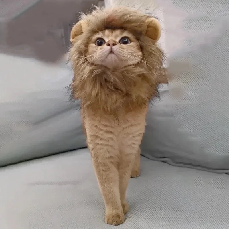 Cat Hat Lion Mane Halloween Costume Lion Costume Cat Cosplay Dress Up Pet Hats For Small Cats And Kittens Party Decoration