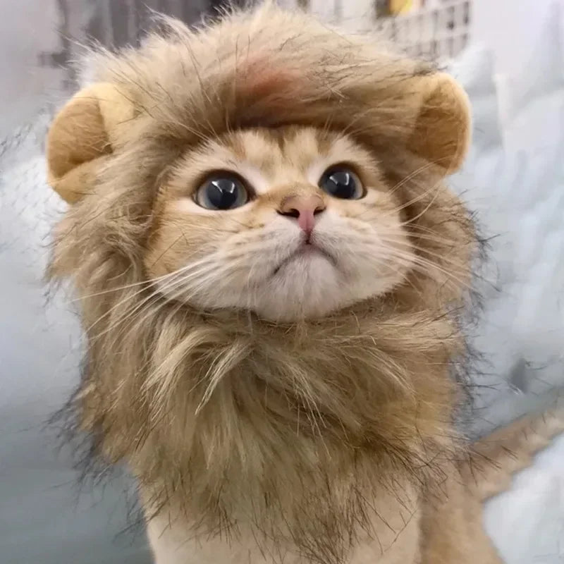 Cat Hat Lion Mane Halloween Costume Lion Costume Cat Cosplay Dress Up Pet Hats For Small Cats And Kittens Party Decoration