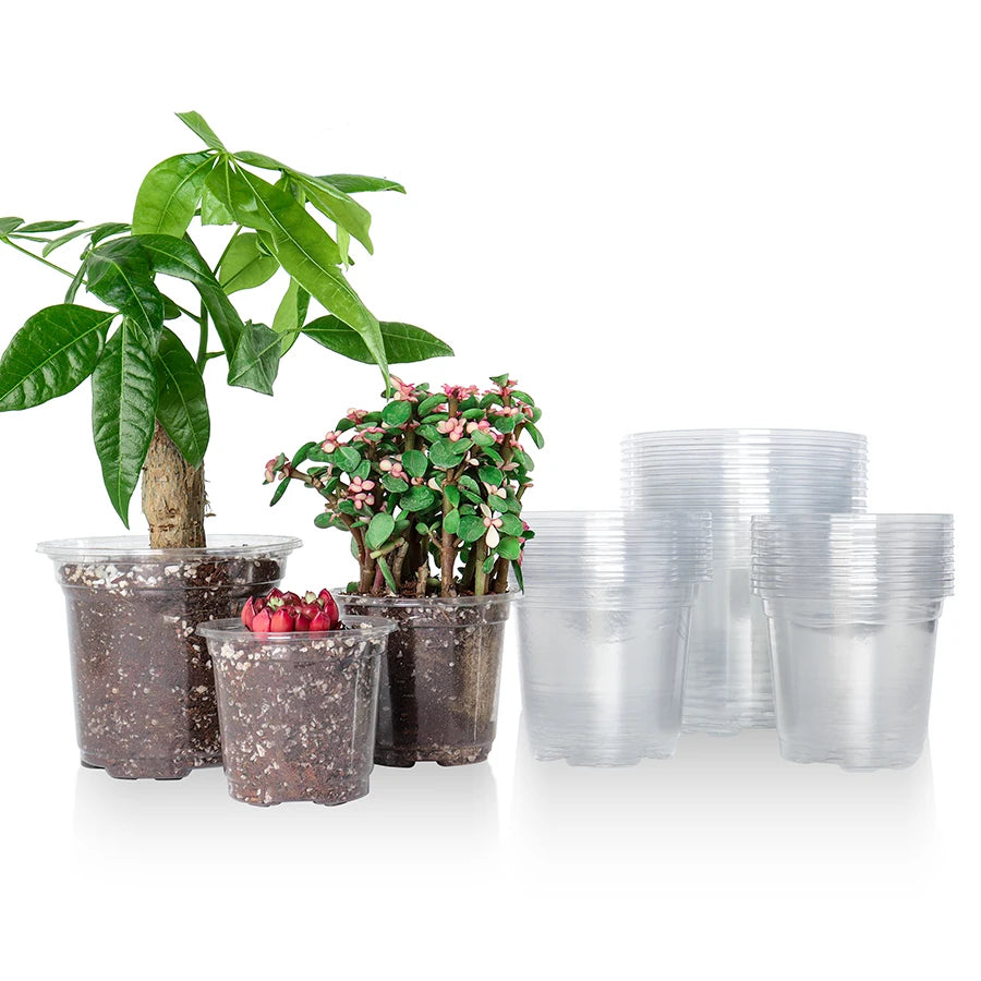 30 Packs 3.5/4/5 Inch Clear Nursery Pots, Transparent Plastic Planter