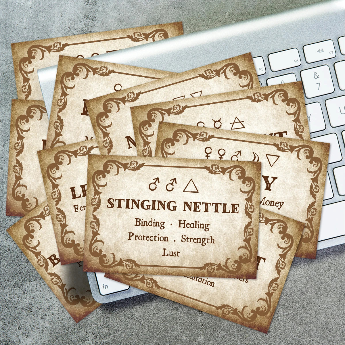 40pcs Herb Cards With Details Herb Names & Properties For Herbalism Or Collectibles Enthusiasts Seeking To Unlock Herbal Subject