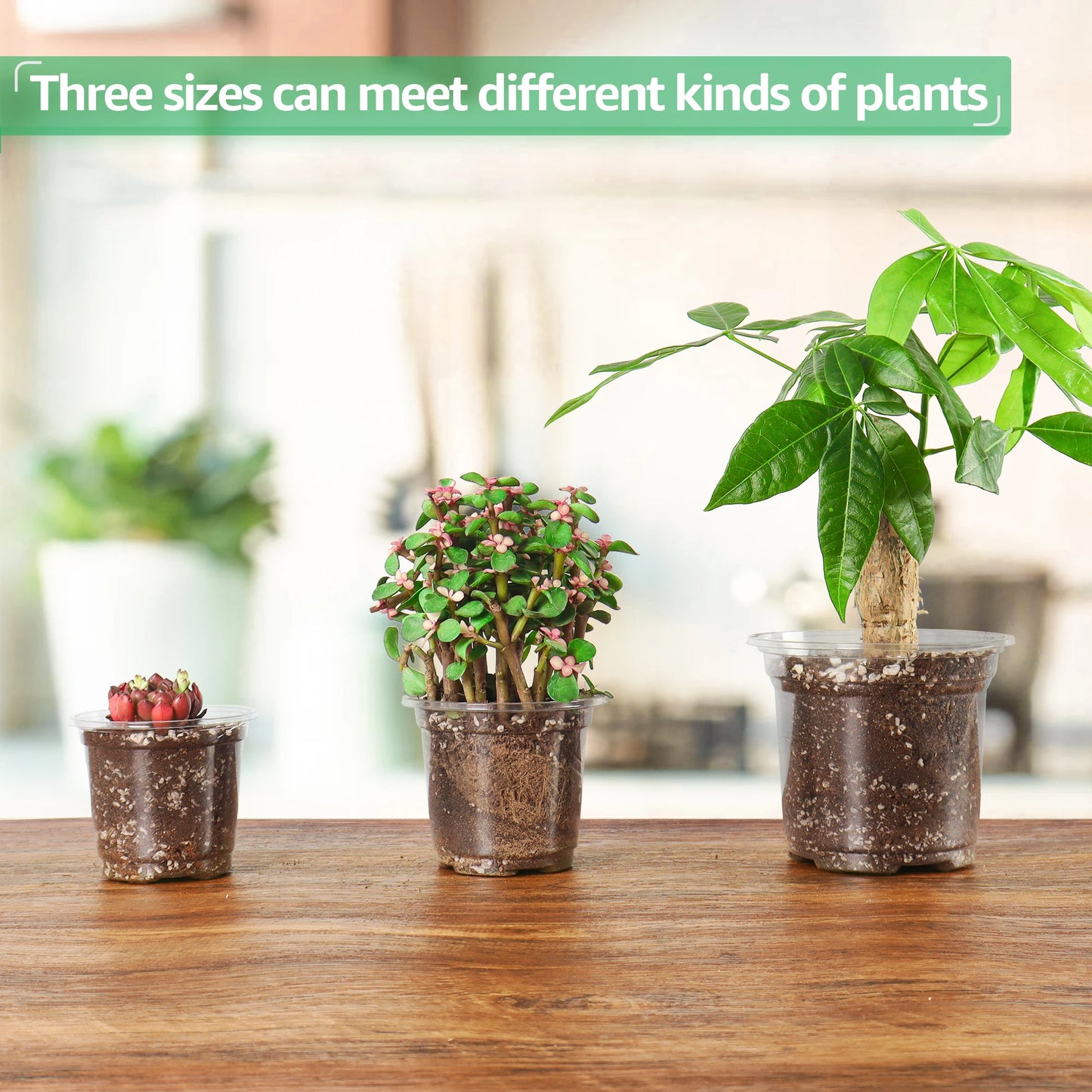 30 Packs 3.5/4/5 Inch Clear Nursery Pots, Transparent Plastic Planter