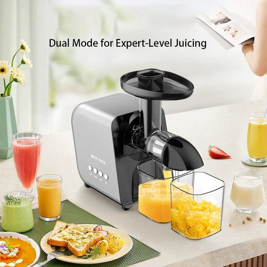 Hot Sale 250W Slow Juicer Extractor for Vegetable and Fruit Screw Cold Press Fresh Beet Juice Electric Blender Home Appliance