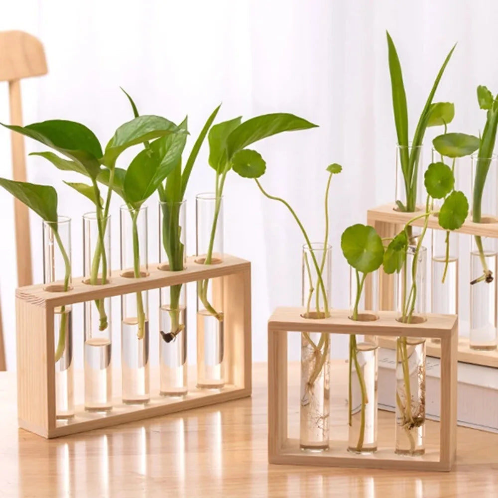 3/5 Tubes Wall Hanging Hydroponic Plant Propagation Glass Vase with