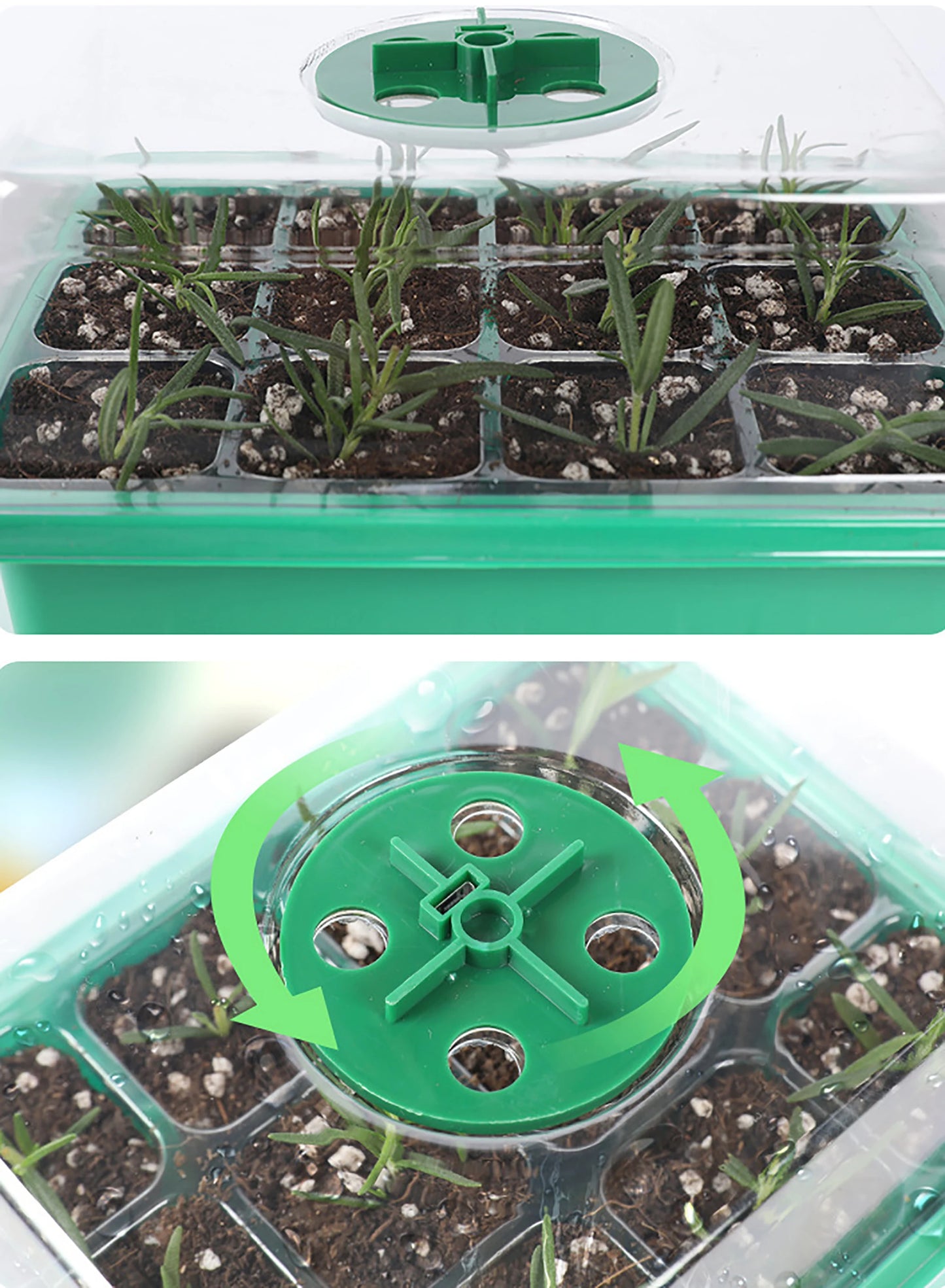 Seed Starter Tray Box With LED Grow Light Nursery Pot Seedling