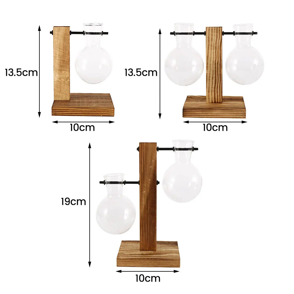 Glass Desktop Planter Bulb Vase Wooden Stand Hydroponic Plant