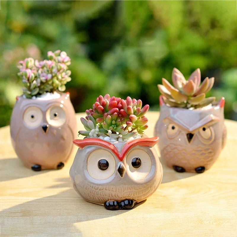 Ceramic Owl Flower Pot Garden Office Decoration Succulent Mini Owl