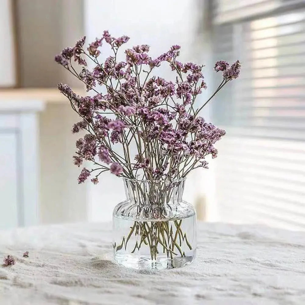 1pc Nordic Creative Transparent Vases for Plant Bottle Flower Pot