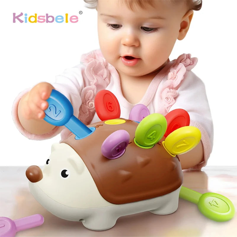 Baby Montessori Toys for 1 Year Old Hedgehog Toddler Sensory Toys Fine Motor Skills Learning Educational Sorting Toys Montessori