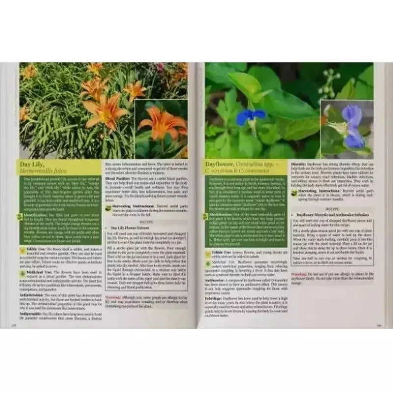 The Lost Book of Herbs and Natural Remedies II - A5 Size