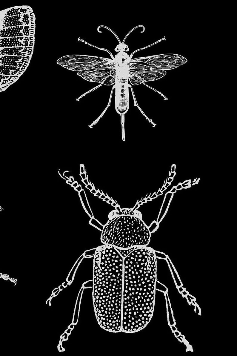 Gothic tapestry aesthetic Moth tapestry Insect decor Bug art Dark wall art Wiccan hanging wall art  Goth wall art witchcraft