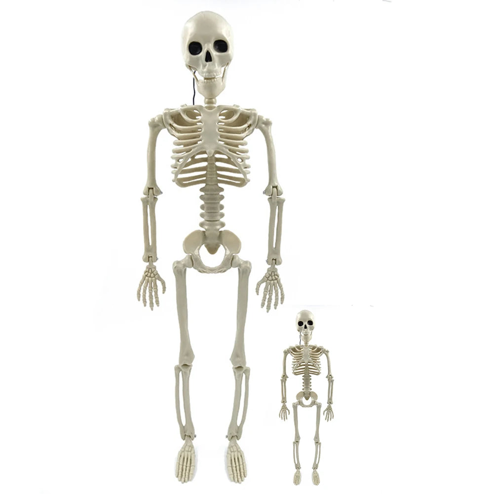 170cm Halloween Horror Anatomy Movable Skull Skeleton Halloween Props Poseable Full Life Size Skeleton Prop Halloween Decoration