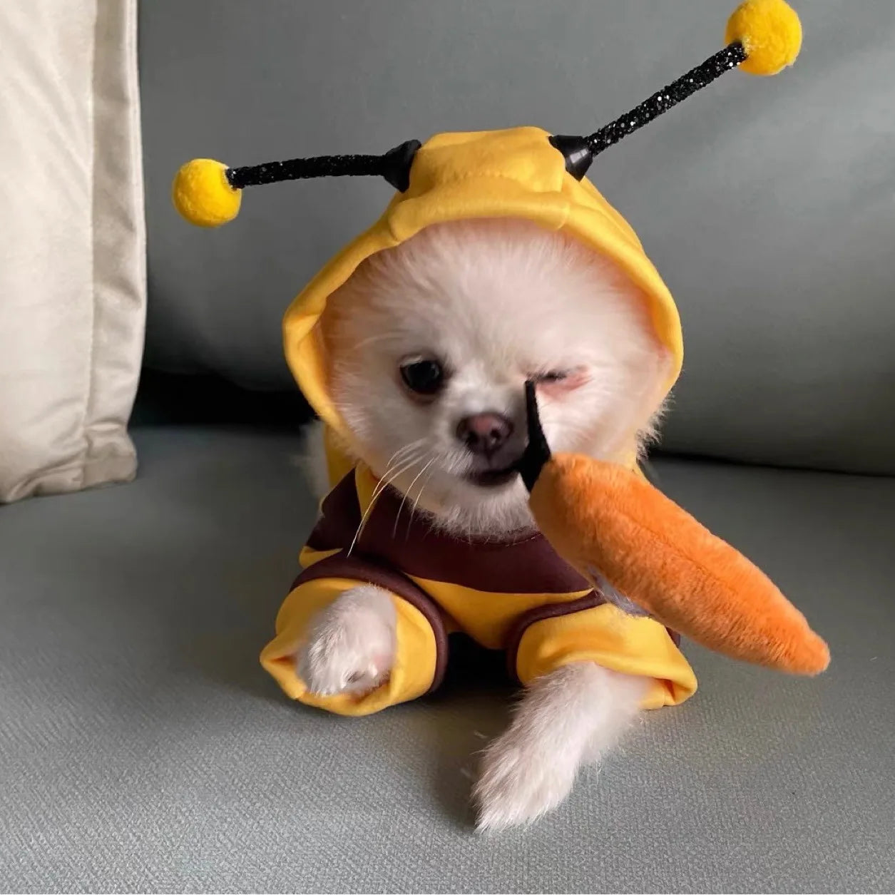 Pet Halloween Costume Honey Bee Role Play Hoodie with Buckle or Not Dogs Cats Party Cosplay Funny Outfit Clothes Dog Hoodies