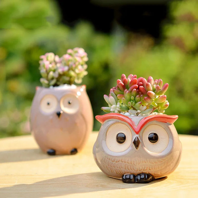 Ceramic Owl Flower Pot Garden Office Decoration Succulent Mini Owl