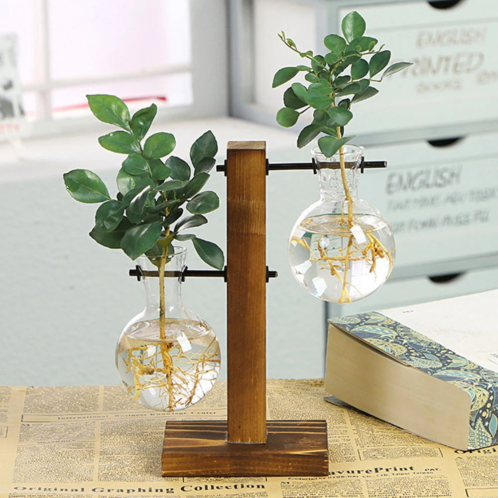 Glass Desktop Planter Bulb Vase Wooden Stand Hydroponic Plant
