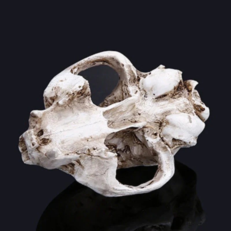 Cat Skull Statue for Home Decor Resin Animal Skeleton Figurines Halloween Decoration Crafts Reptile House Decorative Accessories