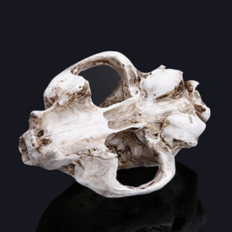 Cat Skull Statue for Home Decor Resin Animal Skeleton Figurines Halloween Decoration Crafts Reptile House Decorative Accessories