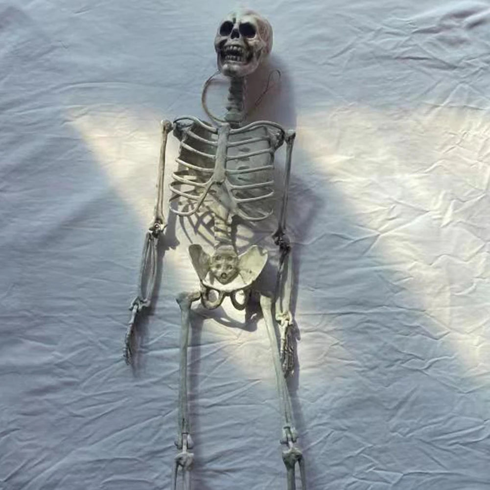 170cm Halloween Horror Anatomy Movable Skull Skeleton Halloween Props Poseable Full Life Size Skeleton Prop Halloween Decoration