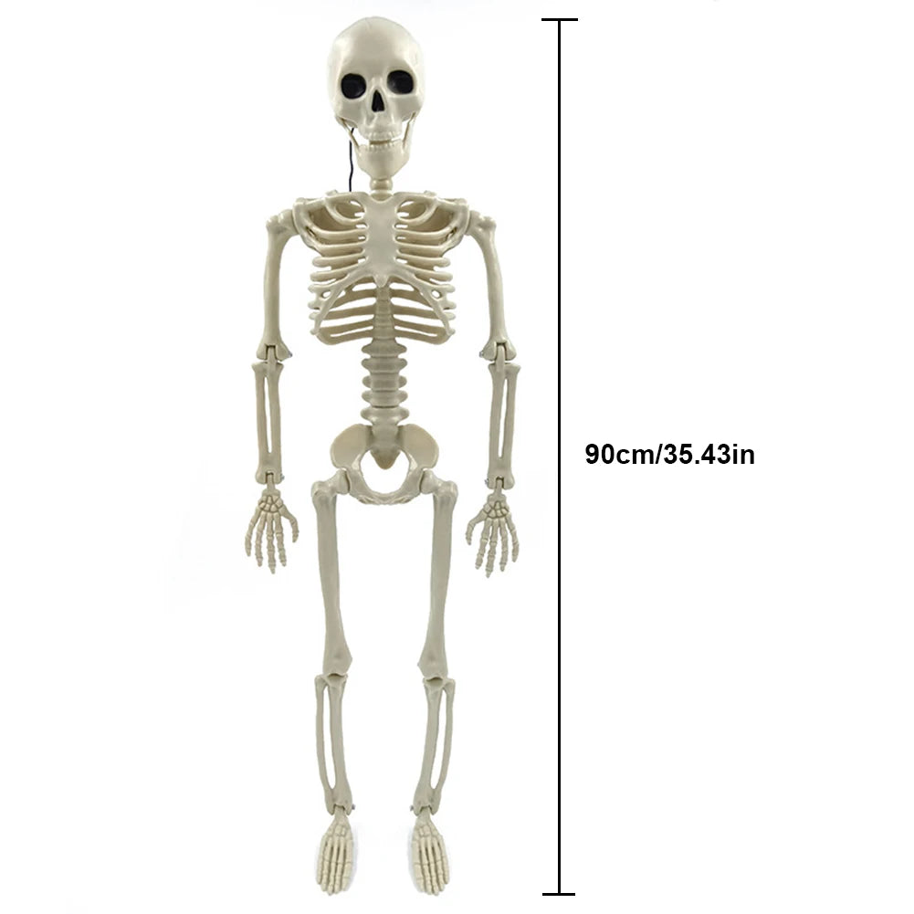 170cm Halloween Horror Anatomy Movable Skull Skeleton Halloween Props Poseable Full Life Size Skeleton Prop Halloween Decoration