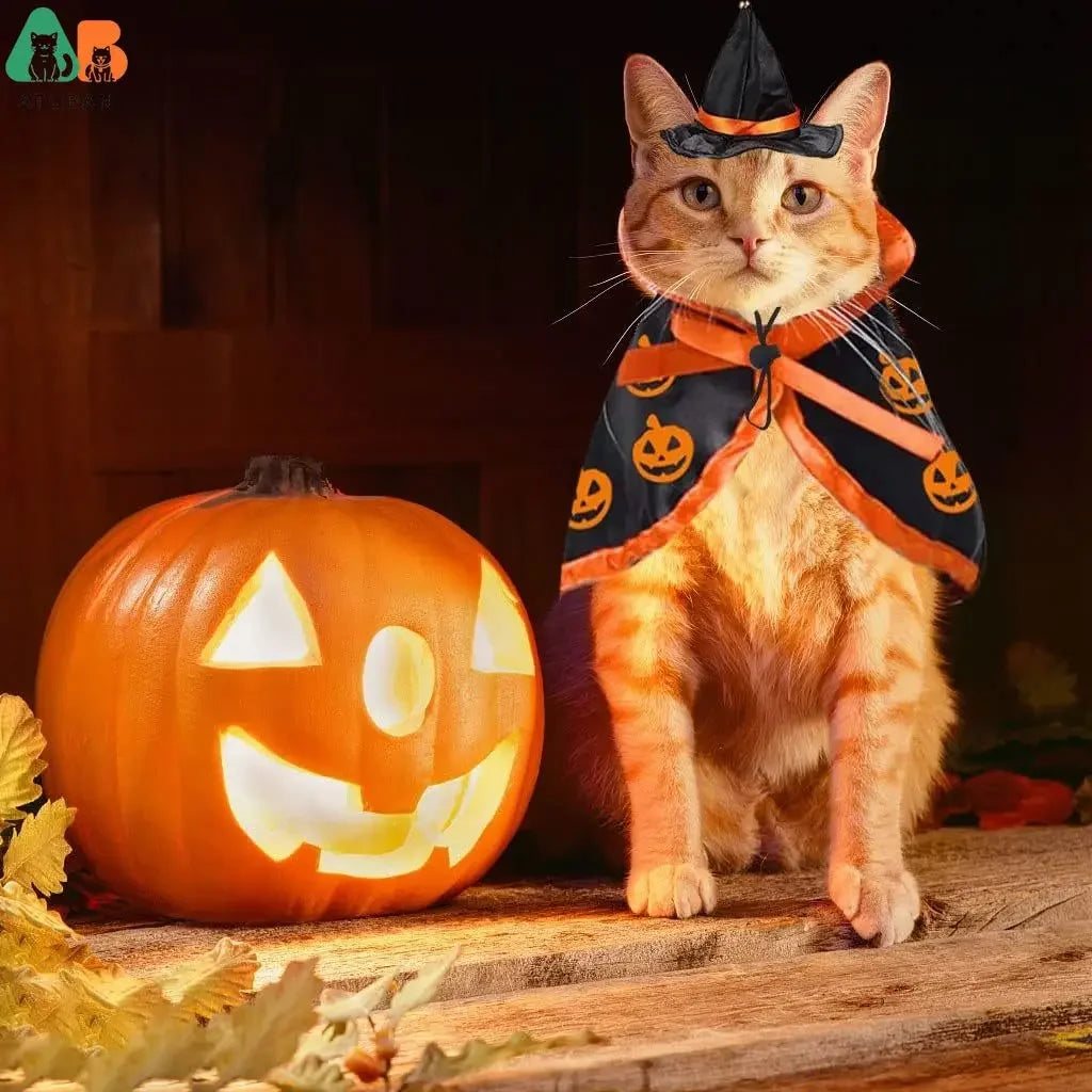 Halloween Cat Vampire Cloak Costume Halloween Adjustable Pet Cape Costume Clothes,Pet Accessories Costume Outfit Decor Cowl