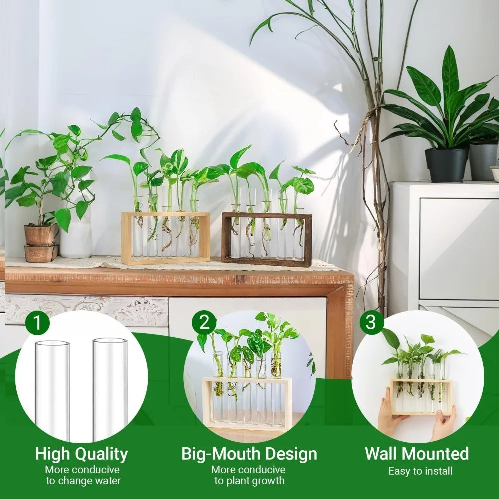 3/5 Tubes Wall Hanging Hydroponic Plant Propagation Glass Vase with