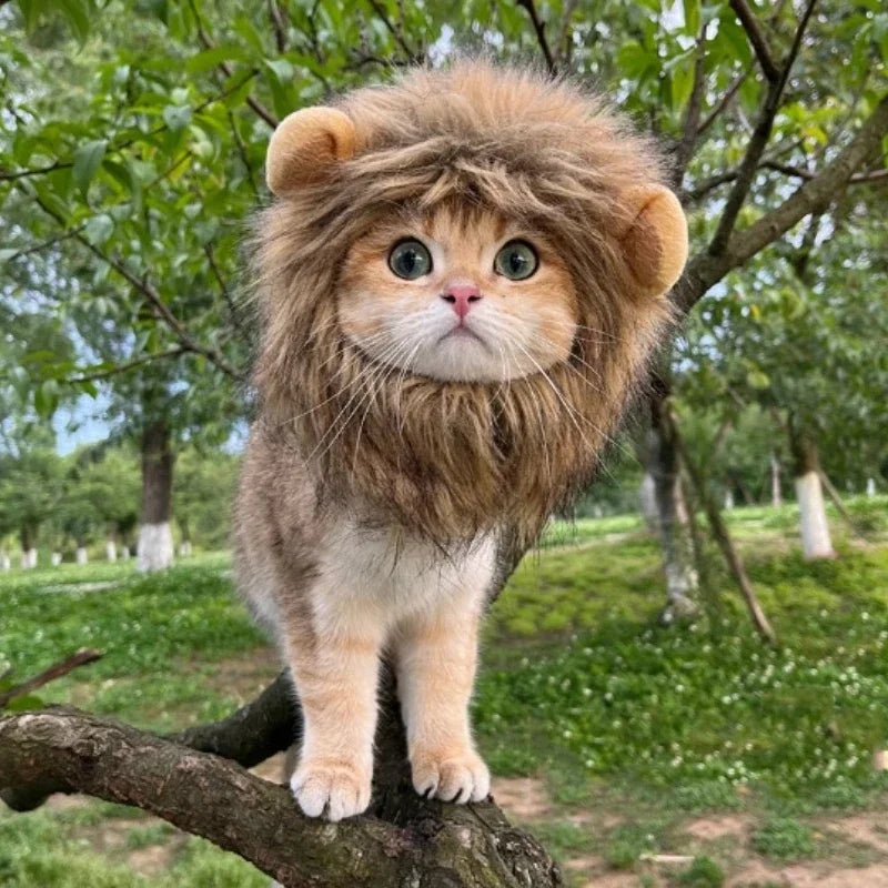 Cat Hat Lion Mane Halloween Costume Lion Costume Cat Cosplay Dress Up Pet Hats For Small Cats And Kittens Party Decoration